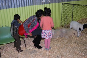 Chesterfield Farm Baby Animals