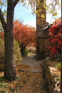 Lavandula Daylesord Victoria Australia